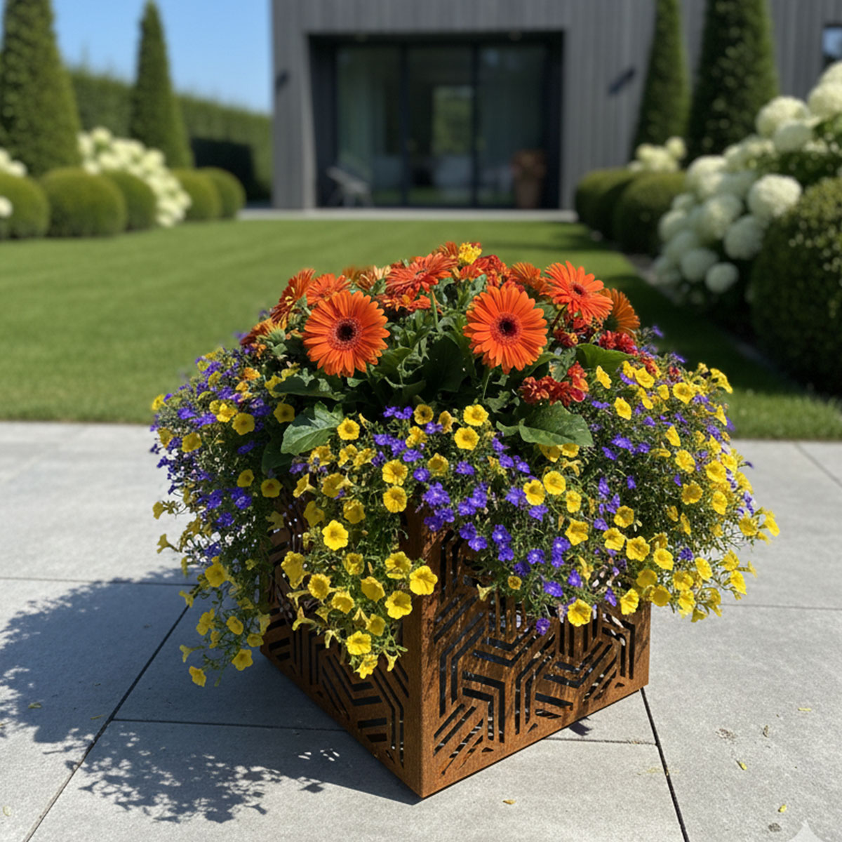 donice corten kowmar 5